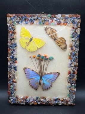 Vintage Taxidermy Butterfly Specimen Gemstone Frame Convex Glass Entomology Art